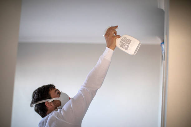 Best Certified Mold Removal  in Fort Clark Springs, TX