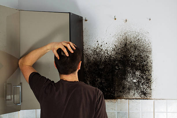 Best Emergency Mold Removal  in Fort Clark Springs, TX
