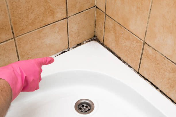 Best Fast Mold Removal  in Fort Clark Springs, TX